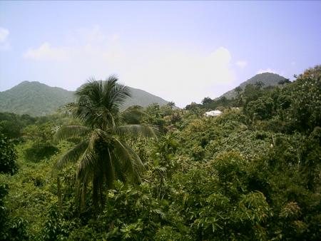 paysage soldat